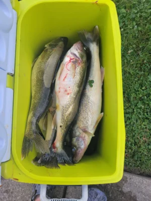 6-Hour Lake Fishing Charter for 4 Anglers – $700 Total